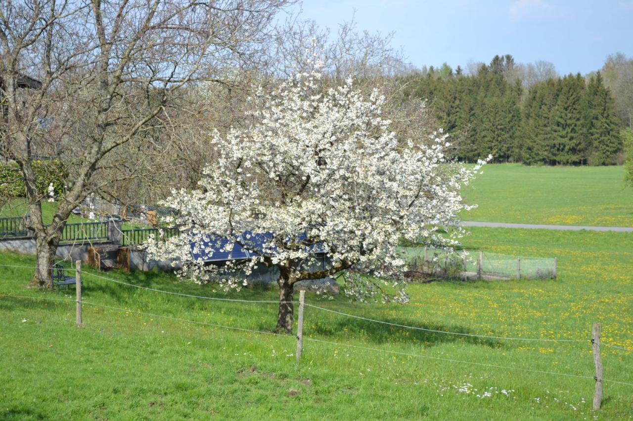 Apartamento Biohof Auinger, Der Tiererlebnishof Aurach am Hongar Exterior foto
